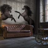 ALLUSION Horses